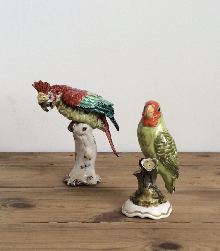 Loro antiguo de Porcelana