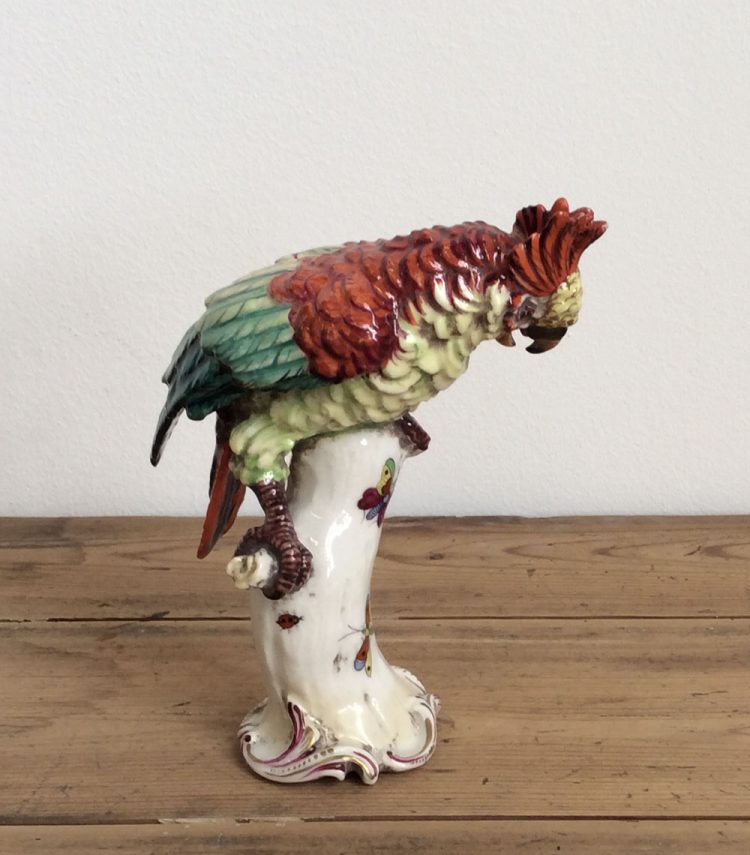 Loro antiguo de Porcelana
